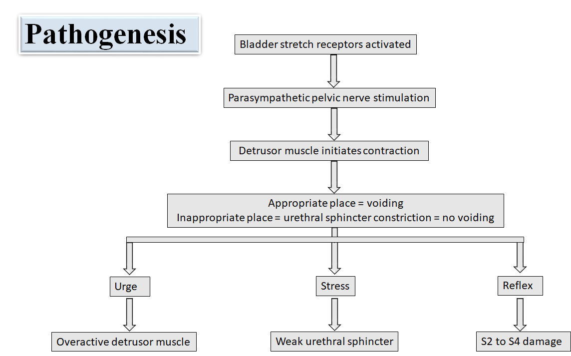 Urinary Incontinence